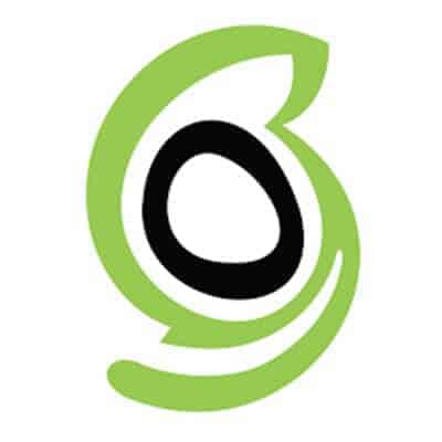 sg_logo
